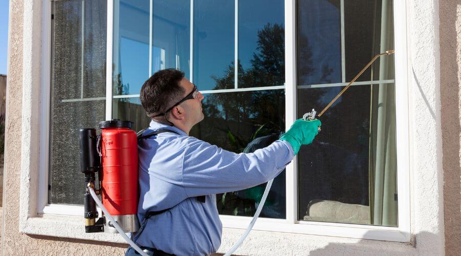 Professional residential pest control services in Bakersfield